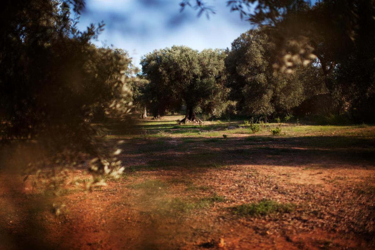 Masseria Borgo Mortella Lecce Exterior foto